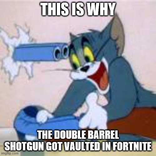 Why Fortnite Sucks | THIS IS WHY; THE DOUBLE BARREL SHOTGUN GOT VAULTED IN FORTNITE | image tagged in why fortnite sucks | made w/ Imgflip meme maker