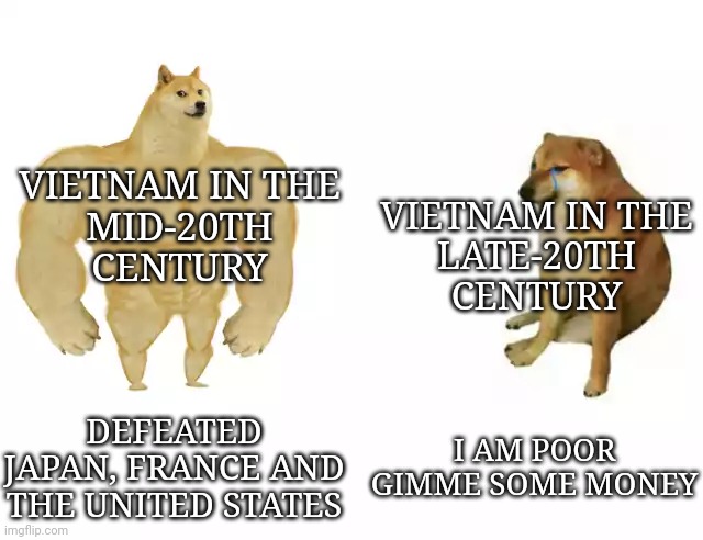 Vietnam | VIETNAM IN THE
LATE-20TH
CENTURY; VIETNAM IN THE
MID-20TH
CENTURY; I AM POOR
GIMME SOME MONEY; DEFEATED JAPAN, FRANCE AND THE UNITED STATES | image tagged in buff doge vs cheems | made w/ Imgflip meme maker
