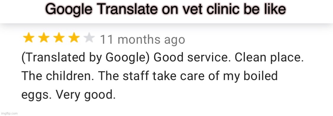 Vet Clinic Review | Google Translate on vet clinic be like | image tagged in google translate | made w/ Imgflip meme maker