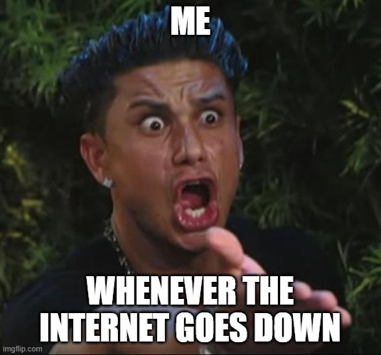 when the internet is down | ME; WHENEVER THE INTERNET GOES DOWN | image tagged in memes,dj pauly d | made w/ Imgflip meme maker