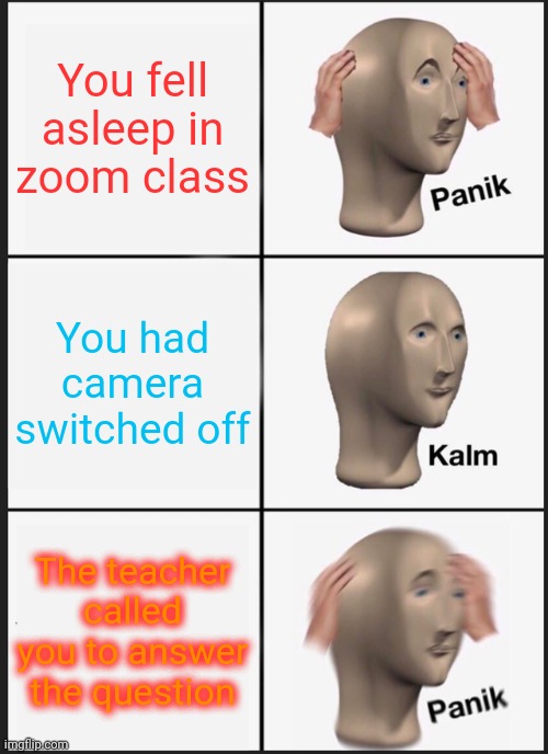 Zoom Class Sucks Change My Mind | You fell asleep in zoom class; You had camera switched off; The teacher called you to answer the question | image tagged in memes,panik kalm panik | made w/ Imgflip meme maker