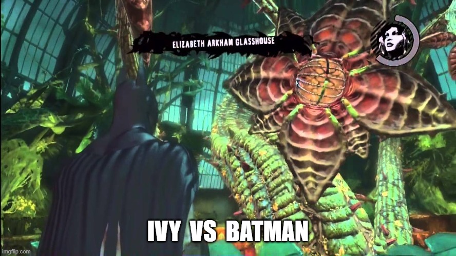 IVY  VS  BATMAN | made w/ Imgflip meme maker