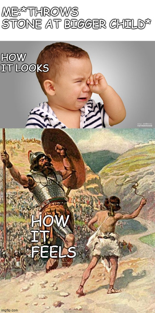 ME:*THROWS STONE AT BIGGER CHILD*; HOW IT LOOKS; HOW IT FEELS | image tagged in david and goliath,crying child | made w/ Imgflip meme maker