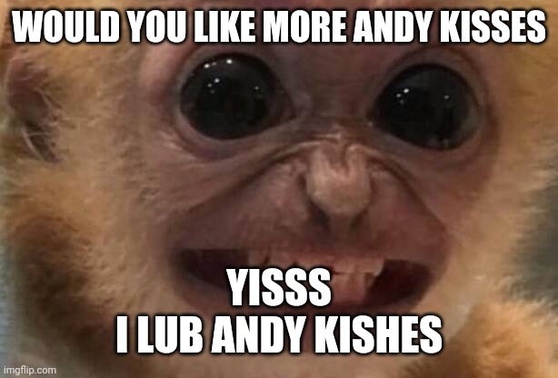 Monkey | WOULD YOU LIKE MORE ANDY KISSES; YISSS
I LUB ANDY KISHES | image tagged in monkey | made w/ Imgflip meme maker