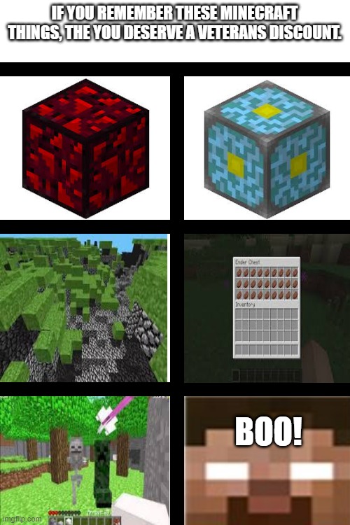 If you remember this, then you deserve a veterans discount. | IF YOU REMEMBER THESE MINECRAFT THINGS, THE YOU DESERVE A VETERANS DISCOUNT. BOO! | image tagged in blank white template,minecraft,veteran | made w/ Imgflip meme maker