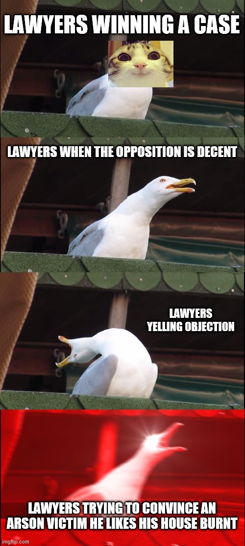 lawyers in a nutshell | LAWYERS WINNING A CASE; LAWYERS WHEN THE OPPOSITION IS DECENT; LAWYERS YELLING OBJECTION; LAWYERS TRYING TO CONVINCE AN ARSON VICTIM HE LIKES HIS HOUSE BURNT | image tagged in memes,inhaling seagull | made w/ Imgflip meme maker
