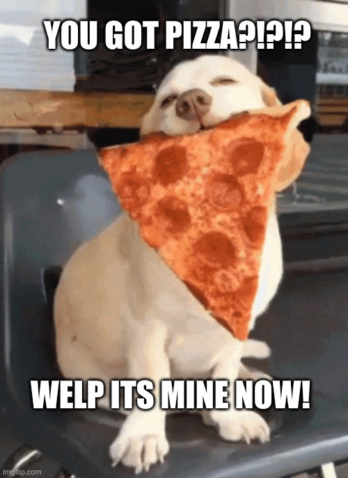 dog eating pizza | YOU GOT PIZZA?!?!? WELP ITS MINE NOW! | image tagged in dog,pizza | made w/ Imgflip meme maker