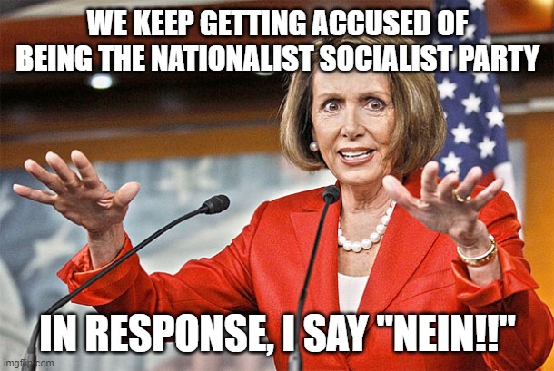 Nancy Pelosi is crazy | WE KEEP GETTING ACCUSED OF BEING THE NATIONALIST SOCIALIST PARTY; IN RESPONSE, I SAY "NEIN!!" | image tagged in nancy pelosi is crazy | made w/ Imgflip meme maker