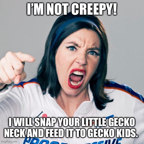 Flo is a little creepy | I’M NOT CREEPY! I WILL SNAP YOUR LITTLE GECKO NECK AND FEED IT TO GECKO KIDS. | image tagged in flo progressive,creepy,geico gecko,fight,insurance,fight club | made w/ Imgflip meme maker