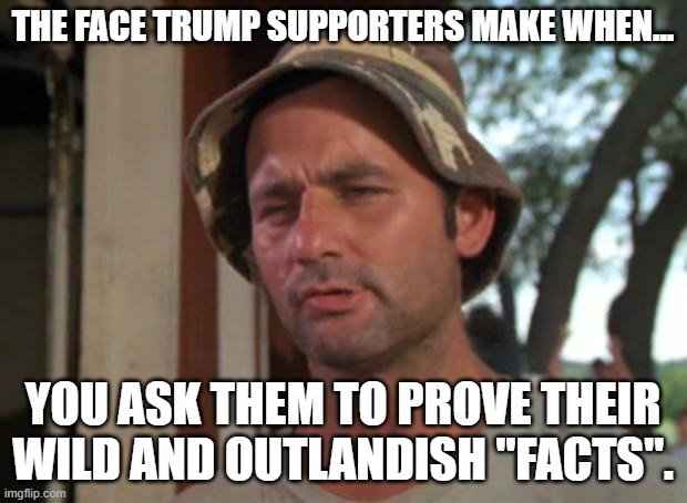I just blindly follow the leader | THE FACE TRUMP SUPPORTERS MAKE WHEN... YOU ASK THEM TO PROVE THEIR WILD AND OUTLANDISH "FACTS". | image tagged in alternative facts,dumb people,followers | made w/ Imgflip meme maker
