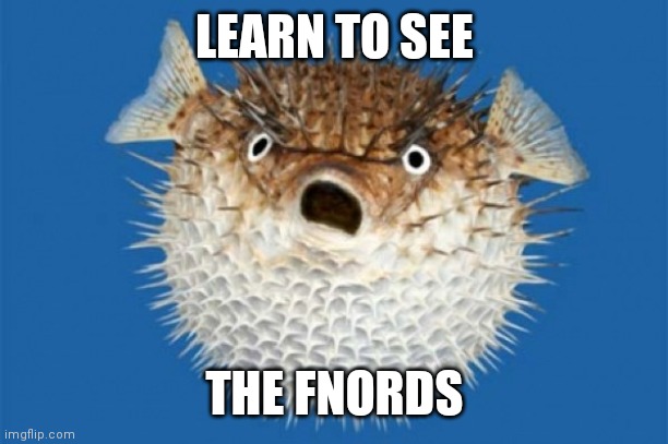 Puffer Fish | LEARN TO SEE; THE FNORDS | image tagged in puffer fish | made w/ Imgflip meme maker