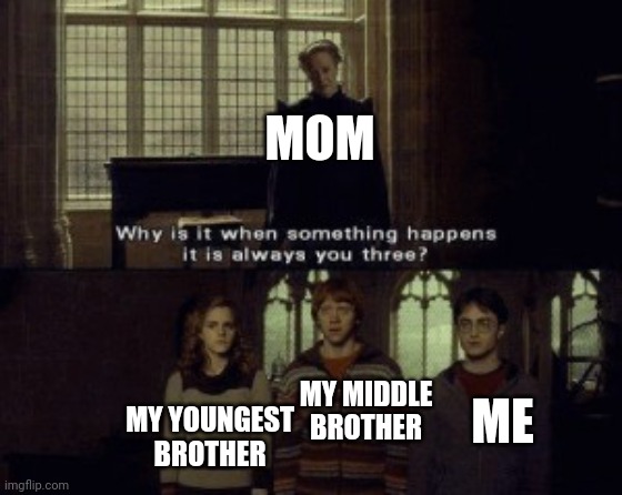 I'm gonna sum up my life | MOM; MY MIDDLE BROTHER; ME; MY YOUNGEST BROTHER | image tagged in why is it when something happens it is always you three | made w/ Imgflip meme maker