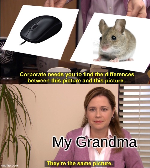 They're The Same Picture Meme | My Grandma | image tagged in memes,they're the same picture | made w/ Imgflip meme maker