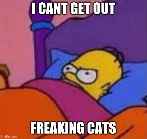 angry homer simpson in bed | I CANT GET OUT FREAKING CATS | image tagged in angry homer simpson in bed | made w/ Imgflip meme maker