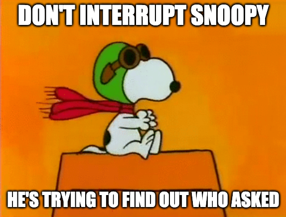 Snoopy who asked Blank Meme Template
