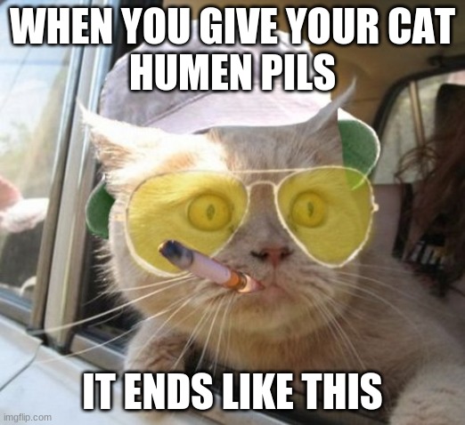 Fear And Loathing Cat Meme | WHEN YOU GIVE YOUR CAT
HUMEN PILS; IT ENDS LIKE THIS | image tagged in memes,fear and loathing cat | made w/ Imgflip meme maker