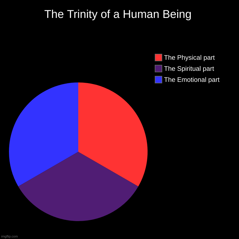 The Trinity of a Human Being | The Trinity of a Human Being | The Emotional part, The Spiritual part, The Physical part | image tagged in spiritual,religion,atheist,faith,human being,life and death | made w/ Imgflip chart maker