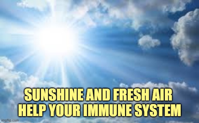 sunshine sky | SUNSHINE AND FRESH AIR 
HELP YOUR IMMUNE SYSTEM | image tagged in sunshine sky | made w/ Imgflip meme maker