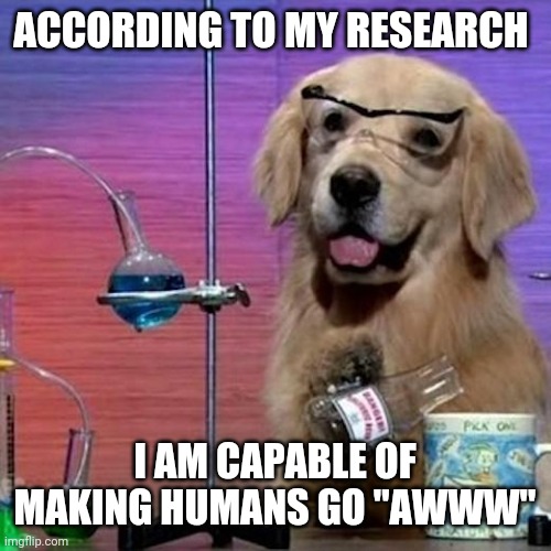 I Have No Idea What I Am Doing Dog | ACCORDING TO MY RESEARCH; I AM CAPABLE OF MAKING HUMANS GO "AWWW" | image tagged in memes,i have no idea what i am doing dog,dog | made w/ Imgflip meme maker