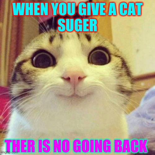 Smiling Cat | WHEN YOU GIVE A CAT
SUGER; THER IS NO GOING BACK | image tagged in memes,smiling cat | made w/ Imgflip meme maker