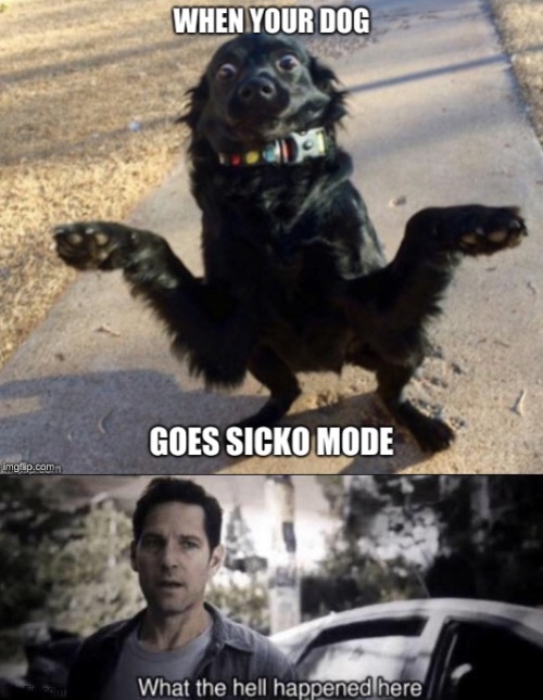 image tagged in what the hell happened here,sicko mode | made w/ Imgflip meme maker