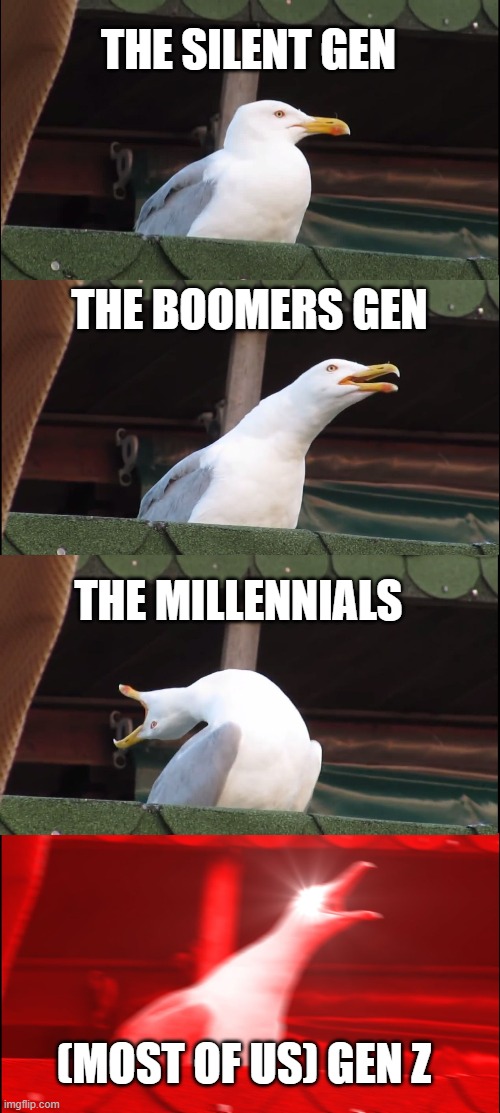Inhaling Seagull | THE SILENT GEN; THE BOOMERS GEN; THE MILLENNIALS; (MOST OF US) GEN Z | image tagged in memes,inhaling seagull,generation z | made w/ Imgflip meme maker