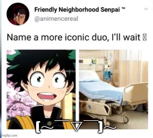 The Most Iconic Mha Duo | (～￣▽￣)～ | image tagged in mha,funny,lol,memes | made w/ Imgflip meme maker