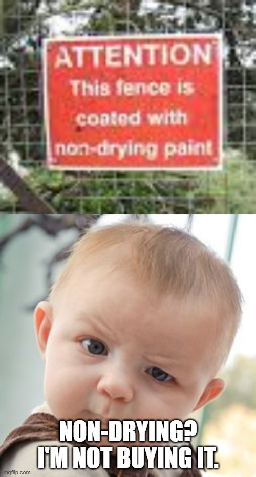 what kind of paint DO they have? | NON-DRYING? I'M NOT BUYING IT. | image tagged in memes,skeptical baby,paint,stupid signs,funny,babies | made w/ Imgflip meme maker