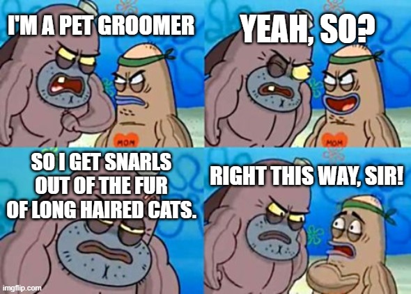 How Tough Are You Meme | YEAH, SO? I'M A PET GROOMER; SO I GET SNARLS OUT OF THE FUR OF LONG HAIRED CATS. RIGHT THIS WAY, SIR! | image tagged in memes,how tough are you | made w/ Imgflip meme maker