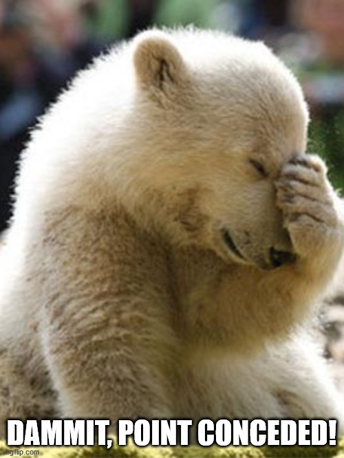 Facepalm Bear Meme | DAMMIT, POINT CONCEDED! | image tagged in memes,facepalm bear | made w/ Imgflip meme maker