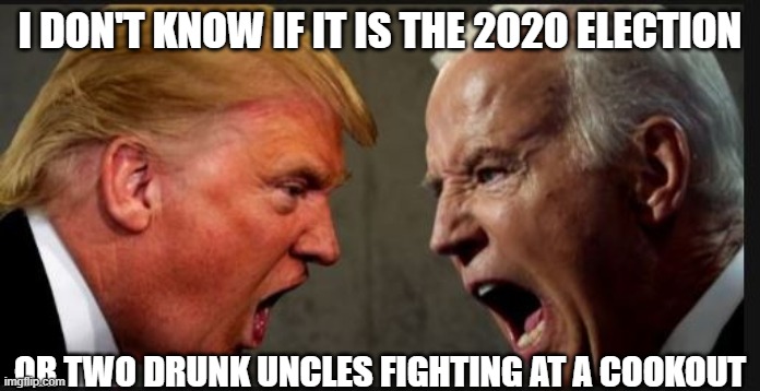 Trump and Biden screaming | I DON'T KNOW IF IT IS THE 2020 ELECTION; OR TWO DRUNK UNCLES FIGHTING AT A COOKOUT | image tagged in election 2020 | made w/ Imgflip meme maker