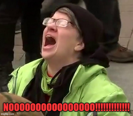Crying liberal | NOOOOOOOOOOOOOOOO!!!!!!!!!!!!! | image tagged in crying liberal | made w/ Imgflip meme maker