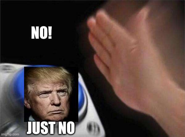 No | NO! JUST NO | image tagged in memes,blank nut button,trump unfit unqualified dangerous,liar in chief,lock him up,never again | made w/ Imgflip meme maker