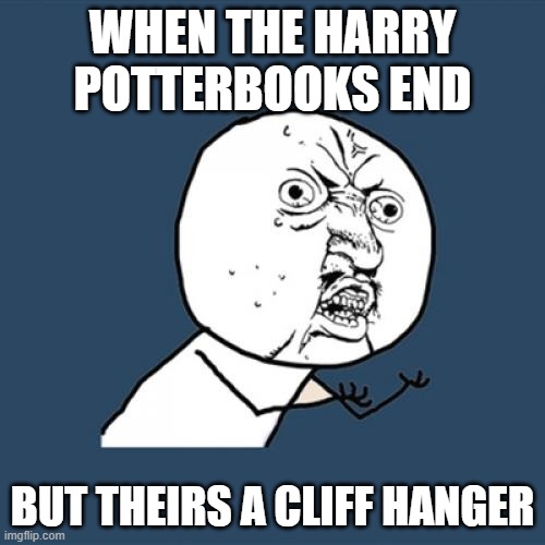 Y U No Meme | WHEN THE HARRY POTTERBOOKS END; BUT THEIRS A CLIFF HANGER | image tagged in memes,y u no | made w/ Imgflip meme maker