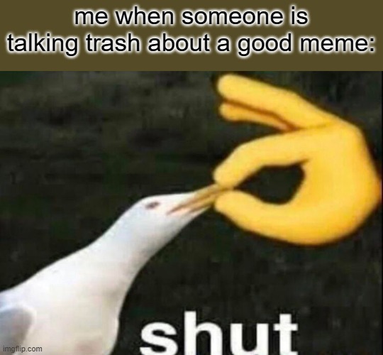SHUT | me when someone is talking trash about a good meme: | image tagged in shut | made w/ Imgflip meme maker