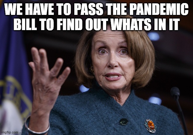 What are you people, nuts? | WE HAVE TO PASS THE PANDEMIC BILL TO FIND OUT WHATS IN IT | image tagged in good old nancy pelosi,cuntosi is a cuntiscle | made w/ Imgflip meme maker