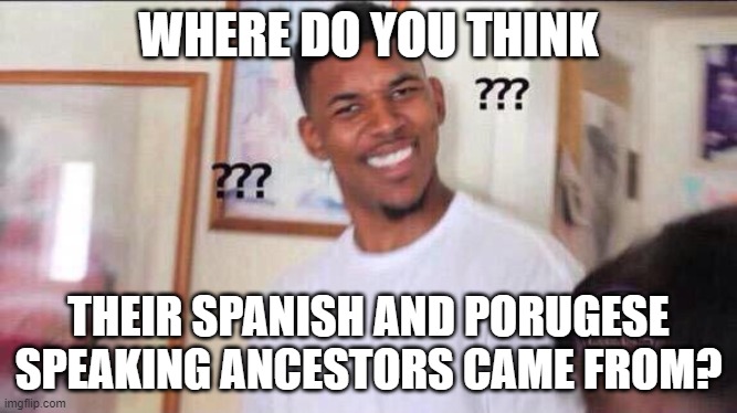 Black guy confused | WHERE DO YOU THINK THEIR SPANISH AND PORUGESE SPEAKING ANCESTORS CAME FROM? | image tagged in black guy confused | made w/ Imgflip meme maker