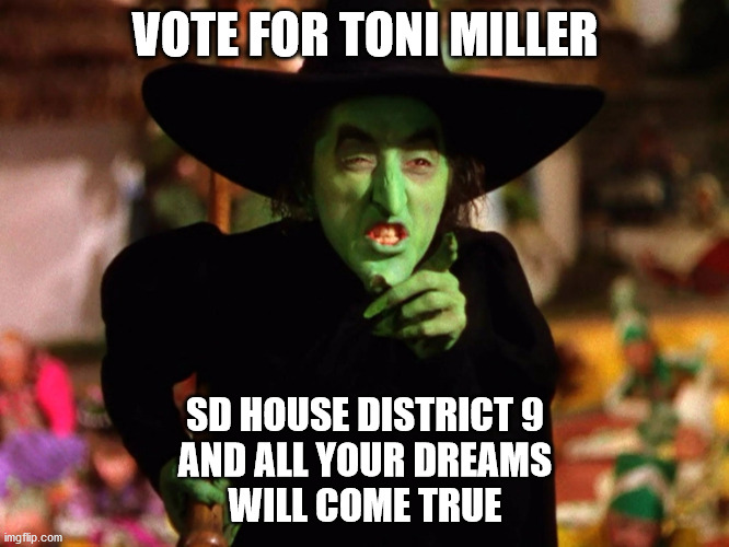 VOTE FOR TONI MILLER; SD HOUSE DISTRICT 9
AND ALL YOUR DREAMS
WILL COME TRUE | image tagged in c'mon toni | made w/ Imgflip meme maker