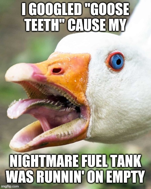 Goose Teeth Nightmare Fuel | image tagged in foul,mouth | made w/ Imgflip meme maker