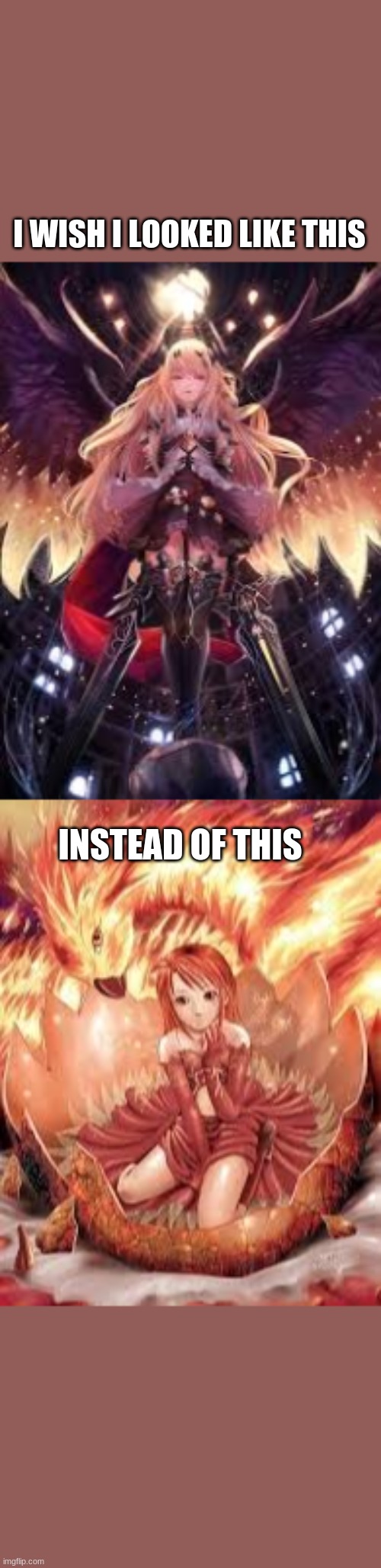 Dark Angel or Pheanix. Vote in comments | I WISH I LOOKED LIKE THIS; INSTEAD OF THIS | image tagged in dark angel,pheanix,vote now | made w/ Imgflip meme maker