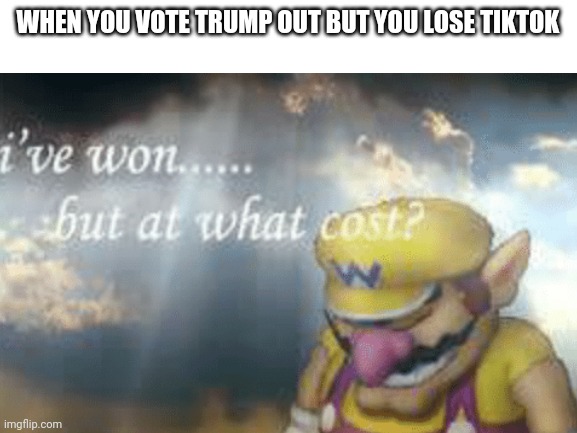 A soul for a soul | WHEN YOU VOTE TRUMP OUT BUT YOU LOSE TIKTOK | image tagged in trump,tik tok,election 2020,wario sad,funny | made w/ Imgflip meme maker