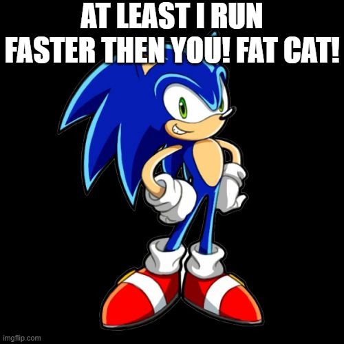 You're Too Slow Sonic Meme | AT LEAST I RUN FASTER THEN YOU! FAT CAT! | image tagged in memes,you're too slow sonic,sonic the hedgehog | made w/ Imgflip meme maker