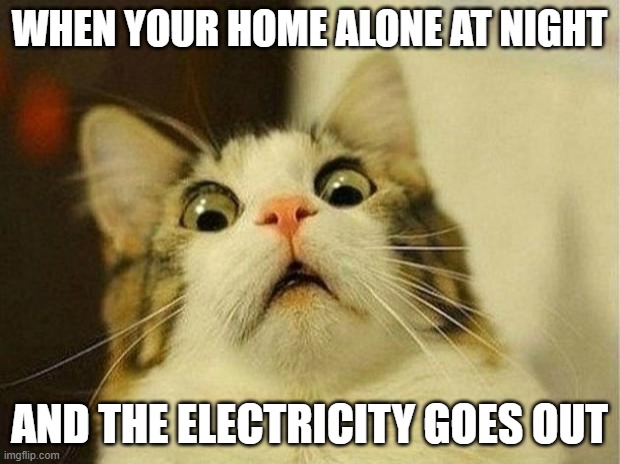 Scared Cat | WHEN YOUR HOME ALONE AT NIGHT; AND THE ELECTRICITY GOES OUT | image tagged in memes,scared cat | made w/ Imgflip meme maker
