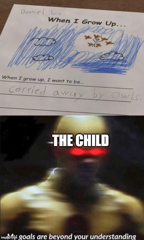 Owls | THE CHILD | image tagged in my goals are beyond your understanding,memes,funny,owl,goals | made w/ Imgflip meme maker