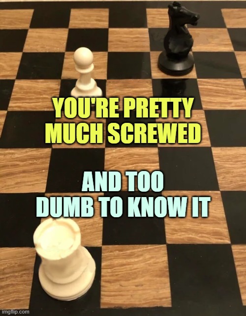 Chess meme | YOU'RE PRETTY MUCH SCREWED AND TOO DUMB TO KNOW IT | image tagged in chess meme | made w/ Imgflip meme maker