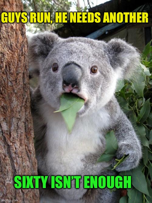 Surprised Koala Meme | GUYS RUN, HE NEEDS ANOTHER SIXTY ISN’T ENOUGH | image tagged in memes,surprised koala | made w/ Imgflip meme maker