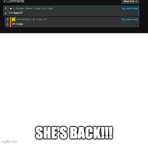 SHE'S BACK!!! | image tagged in blank white template | made w/ Imgflip meme maker