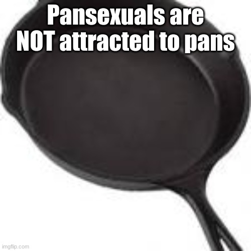 >:(      ):< | Pansexuals are NOT attracted to pans | image tagged in pansexual,people,are not,attracted,to,pans | made w/ Imgflip meme maker