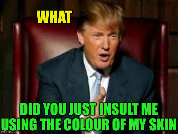 Donald Trump | WHAT DID YOU JUST INSULT ME USING THE COLOUR OF MY SKIN | image tagged in donald trump | made w/ Imgflip meme maker