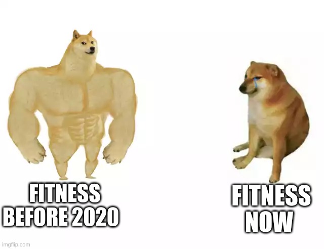 Buff Doge vs. Cheems Meme | FITNESS NOW; FITNESS BEFORE 2020 | image tagged in buff doge vs cheems | made w/ Imgflip meme maker